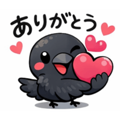 koshi_20251222153142