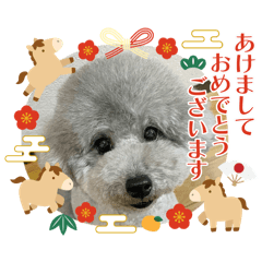 Genie_20251222154447