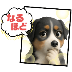 オゥシー♥犬好き[3D]便利.可愛い.大文字