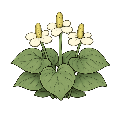 nemuruharu_20251223063202