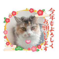 Fran Fran_20251222191416