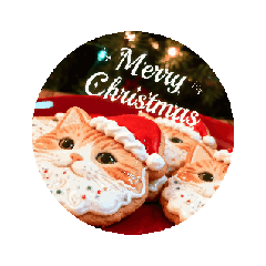 HinaHina_20251222171845