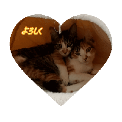 MikoPapa_20251222190302