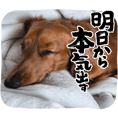 orange_20251222192552