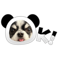 kyonxxx_20251222191442