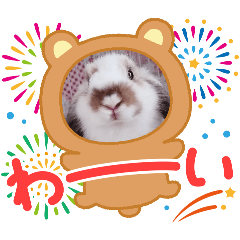 Komopoi_20251222192954