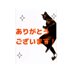 お酒とネコ好きな日常会話80