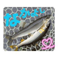 MTN community_20251222200546