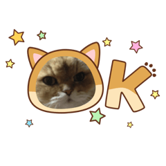 Happy_puppy888_20251222160417