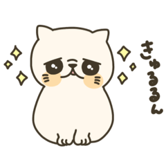 yappi_20251222161632