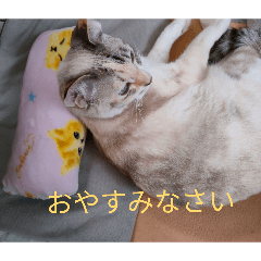 megucci1234_20251222163254