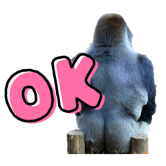 gorilla no keiko chan_20251222163456