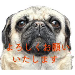 Sae.G_20251222163407