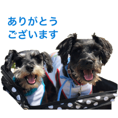 akki0224_20251222161731