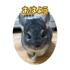 bonokun_20251222173536