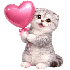 แมวเทา คริสต์มาสและปีใหม่ (No text)