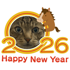 marinyan_20251222181736