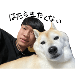 Salad Umashio_20251222194408