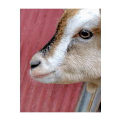 endosethuko_20251222194247