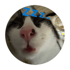 p_yon_20251222194750