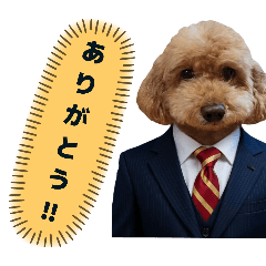 seyachin_20251222194701s