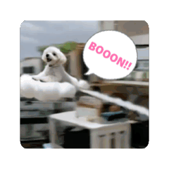 omochi_20251222212241