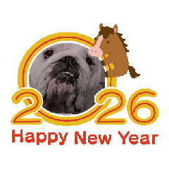 metamp omochi_20251222213525