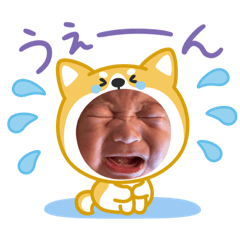 yuki6_20251222195353