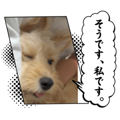 Chihiro_20251222165403