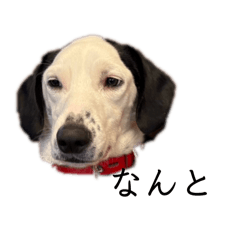 naasan_20251220191726