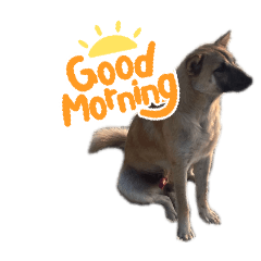 ririka_20251222210706