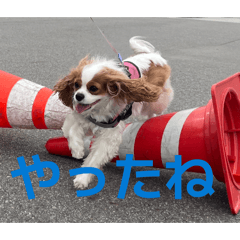 taku tina_20230424050624