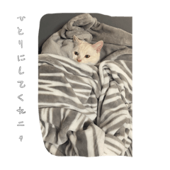 haruto_20251222191243