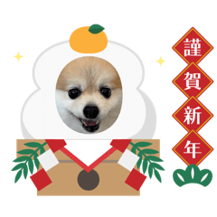 nanababa_20251222202809