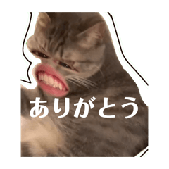 Err_20251222212127