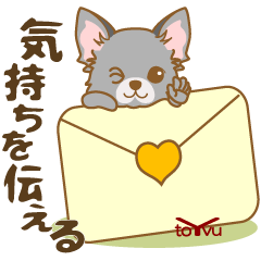 WANKOBIYORI(chihuahua)8