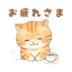 omatsu_20251222170310