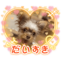 yuppy_20251222183819