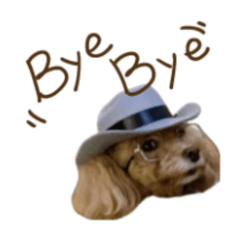 Puamelia_20251222173410