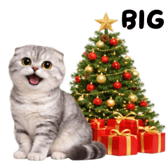 แมวเทา คริสต์มาสและปีใหม่ (บิ๊ก)