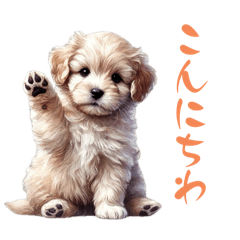 lotus_20251222190151