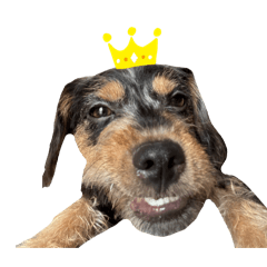 hikari_20251222201430