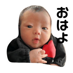 Tamachan_20251222201212