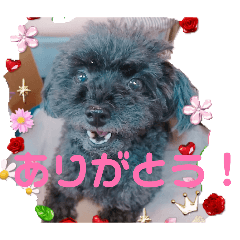 akari_20251222201044