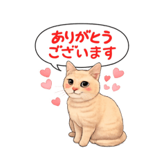 Sayusayu_20251222203240