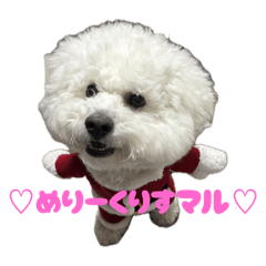 hinataeoxo_20251222203739