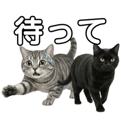 nagisa_20251223001437