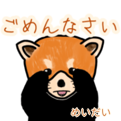 Meidai's lesser panda