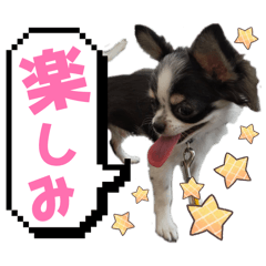 MTN community_20251222205900