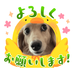 eruna_20251222225839